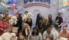 Jakarta International Pet Show (JIPS) 2026 siap digelar. (Foto: Istimewa)